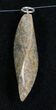 Agatized Dinosaur Bone Twist Pendant #8542-1
